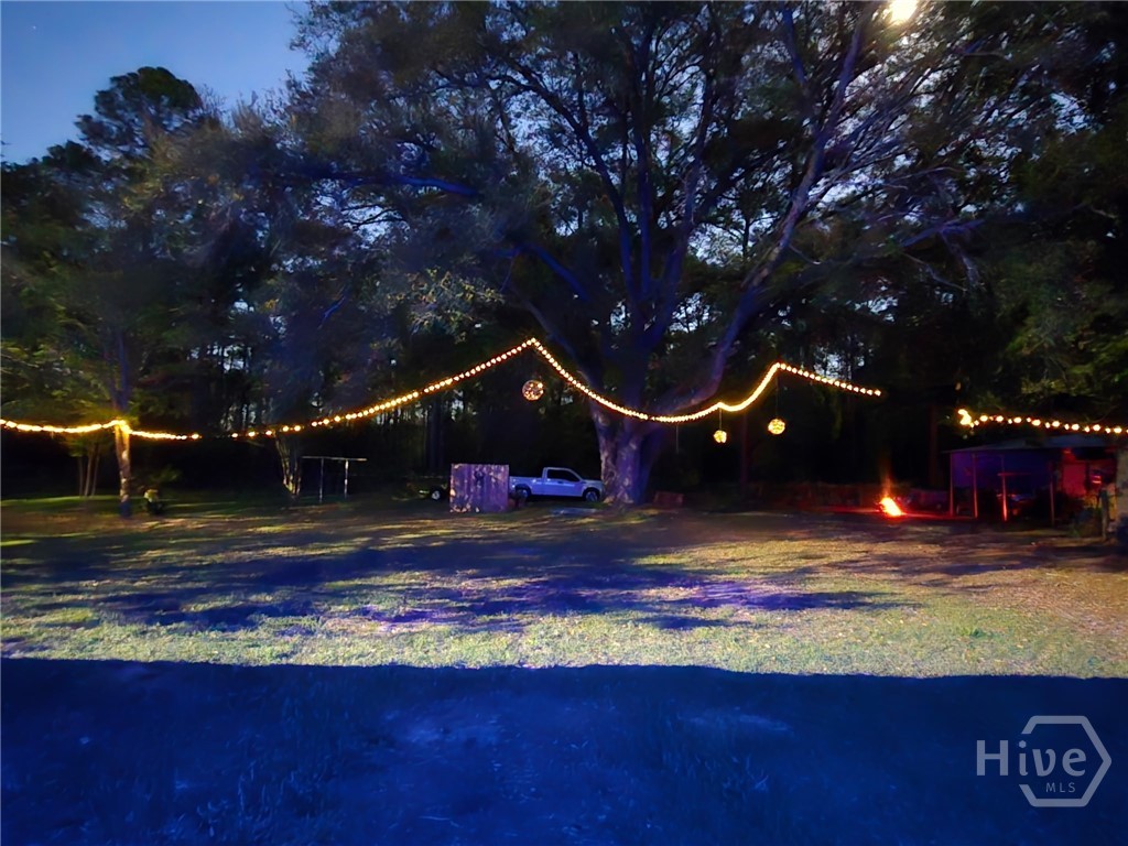 423 Place In The Country Road Hinesville, GA 31313 - Photo 50 of 60
