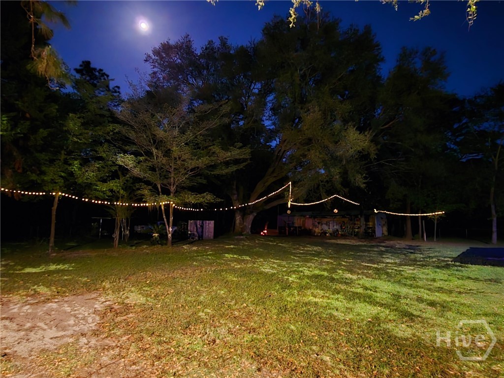 423 Place In The Country Road Hinesville, GA 31313 - Photo 53 of 60