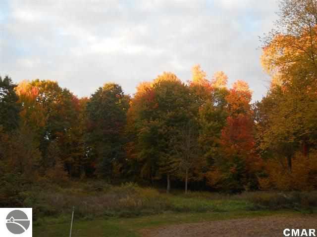 6551 East Cannonsville Road Edmore, MI 48829 - Photo 24 of 24 1769979-23.JPG