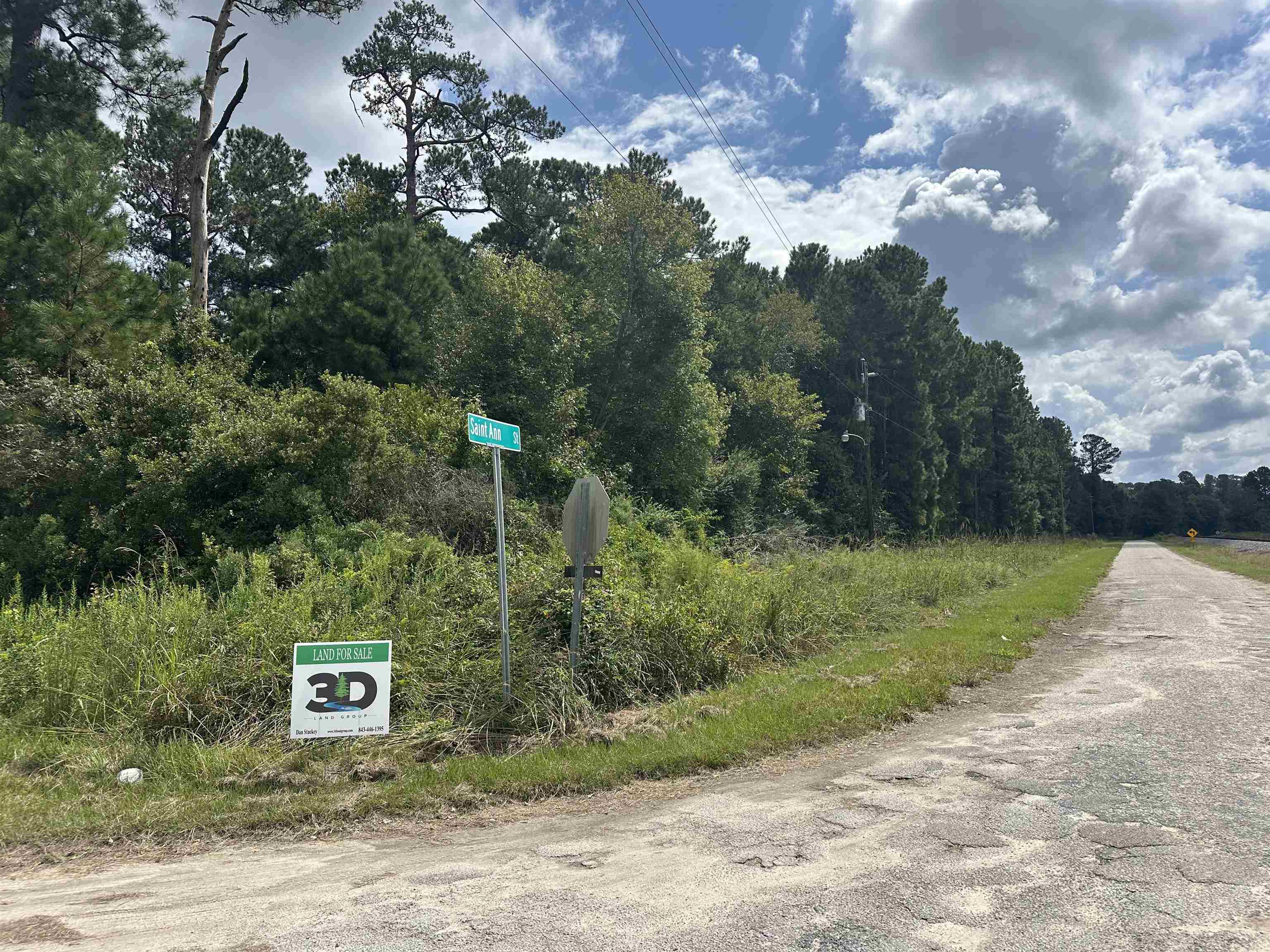 Tbd Millers Road Mullins, SC 29574 - Photo 2 of 9