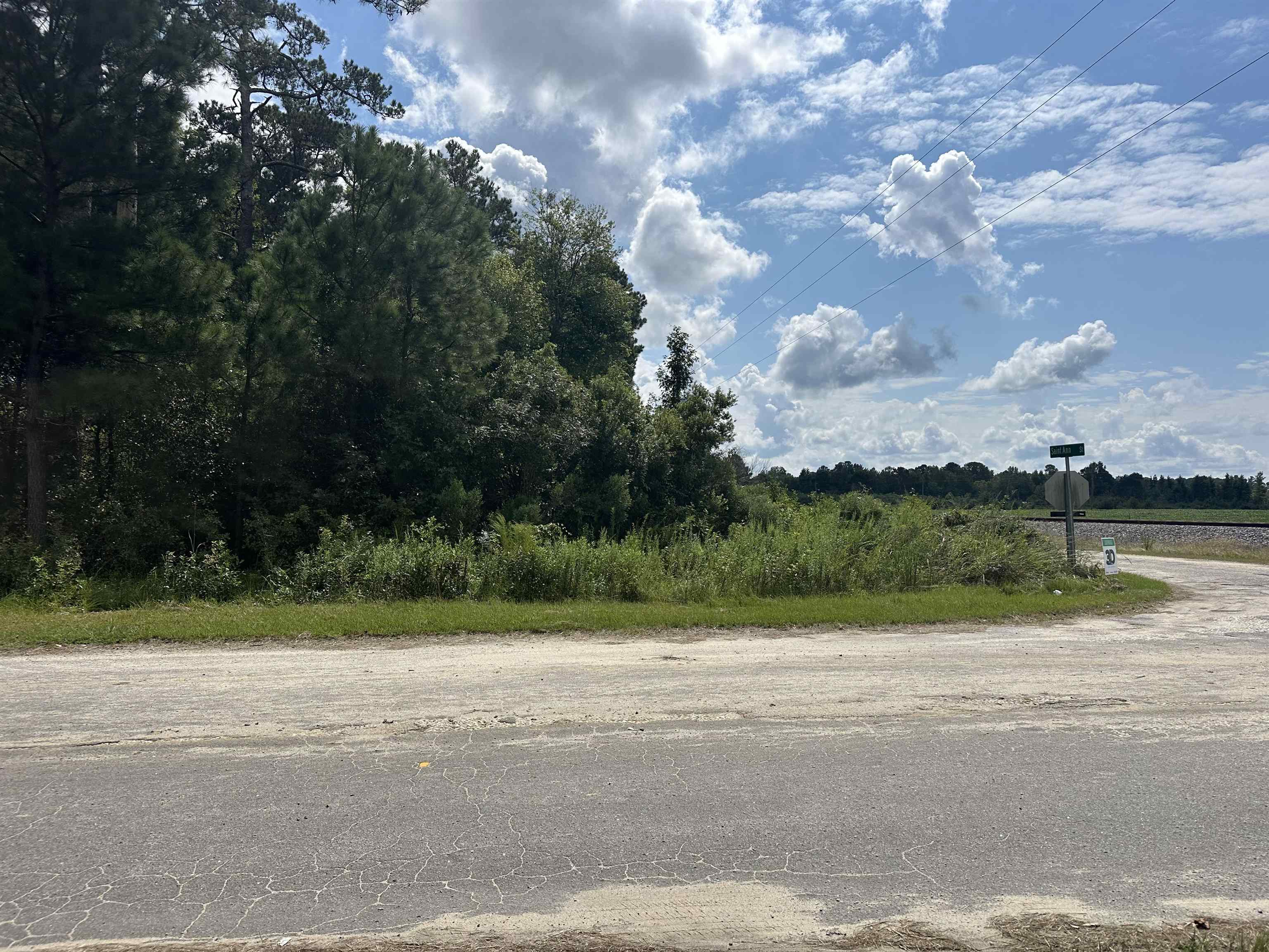 Tbd Millers Road Mullins, SC 29574 - Photo 4 of 9