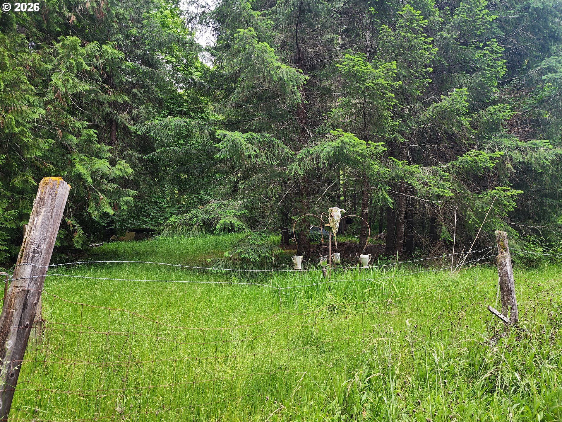 0 Louis Creek Road Myrtle Creek, OR 97457 - Photo 4 of 20