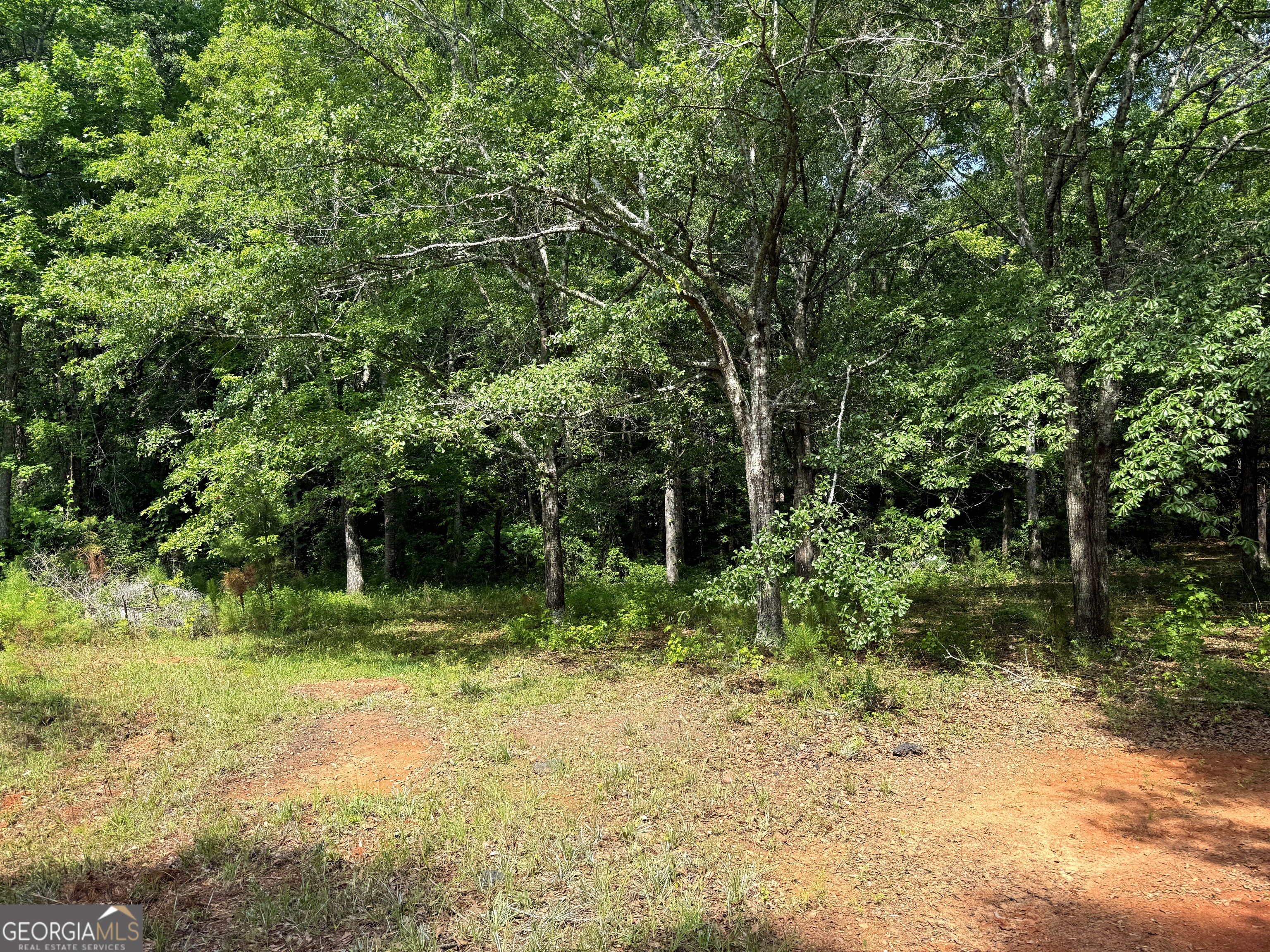 2391 Chalybeate Road Manchester, GA 31816 - Photo 2 of 15 a big yard with lots of green space and trees in the back
