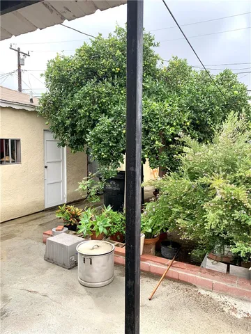 a view of a backyard with potted plants