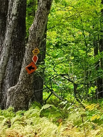 $137,000 | 2592 County Road 8, Otego, NY 13825