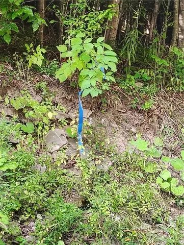 $137,000 | 2592 County Road 8, Otego, NY 13825