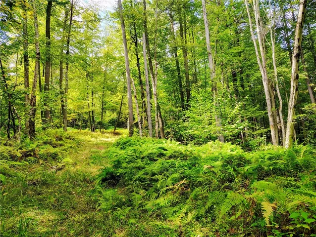 $137,000 | 2592 County Road 8, Otego, NY 13825