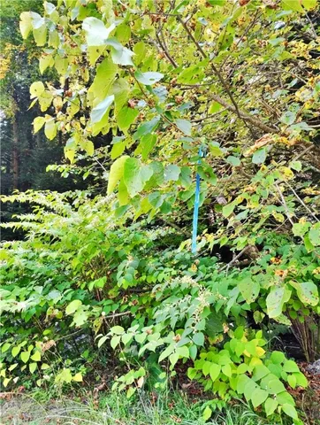 $137,000 | 2592 County Road 8, Otego, NY 13825