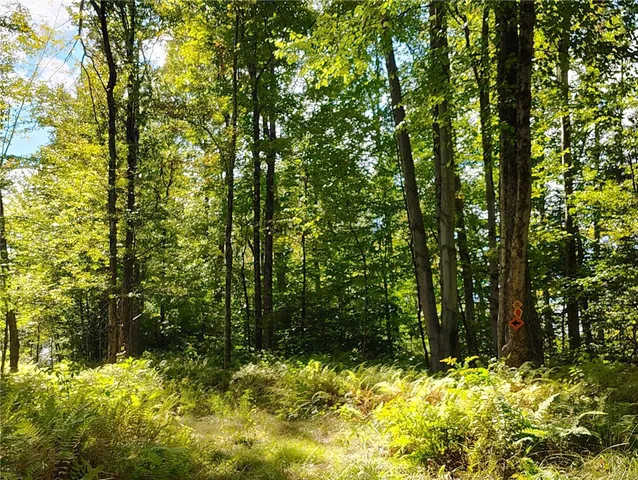 $137,000 | 2592 County Road 8, Otego, NY 13825