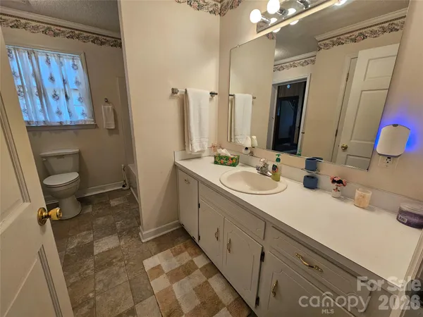 a bathroom with a double vanity sink mirror vanity and toilet