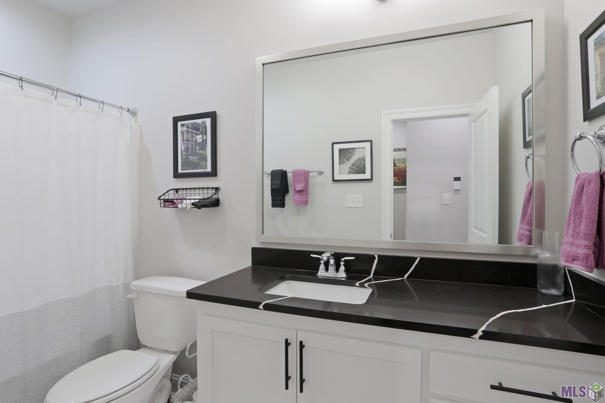 5169 Black River Road Darrow, LA 70725 - Photo 11 of 17