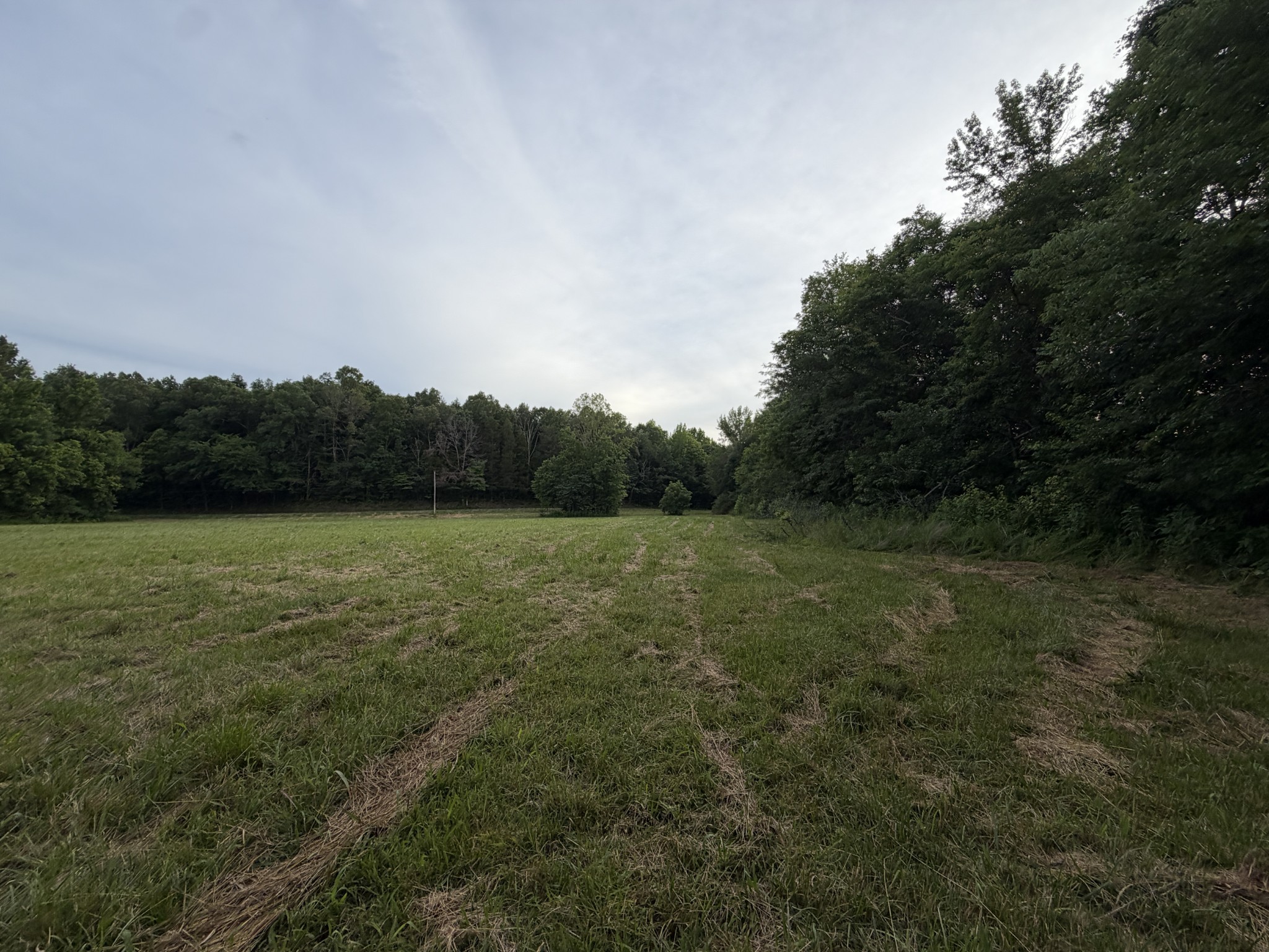 0 Dry Branch Road Holladay, TN 38341 - Photo 13 of 17