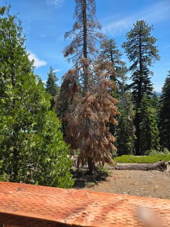 $650,000 | 64949 Generals Highway, Sequoia National Park, CA 93262