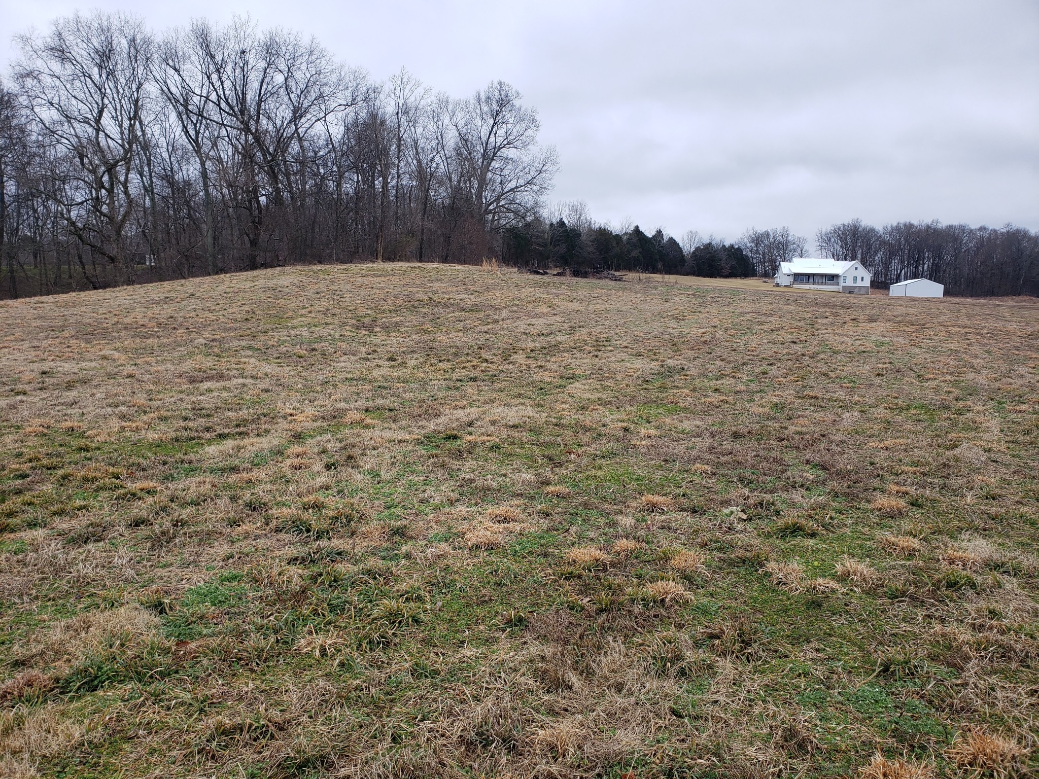 8922 Cedar Grove Road Cross Plains, TN 37049 - Photo 3 of 8 a view of ocean