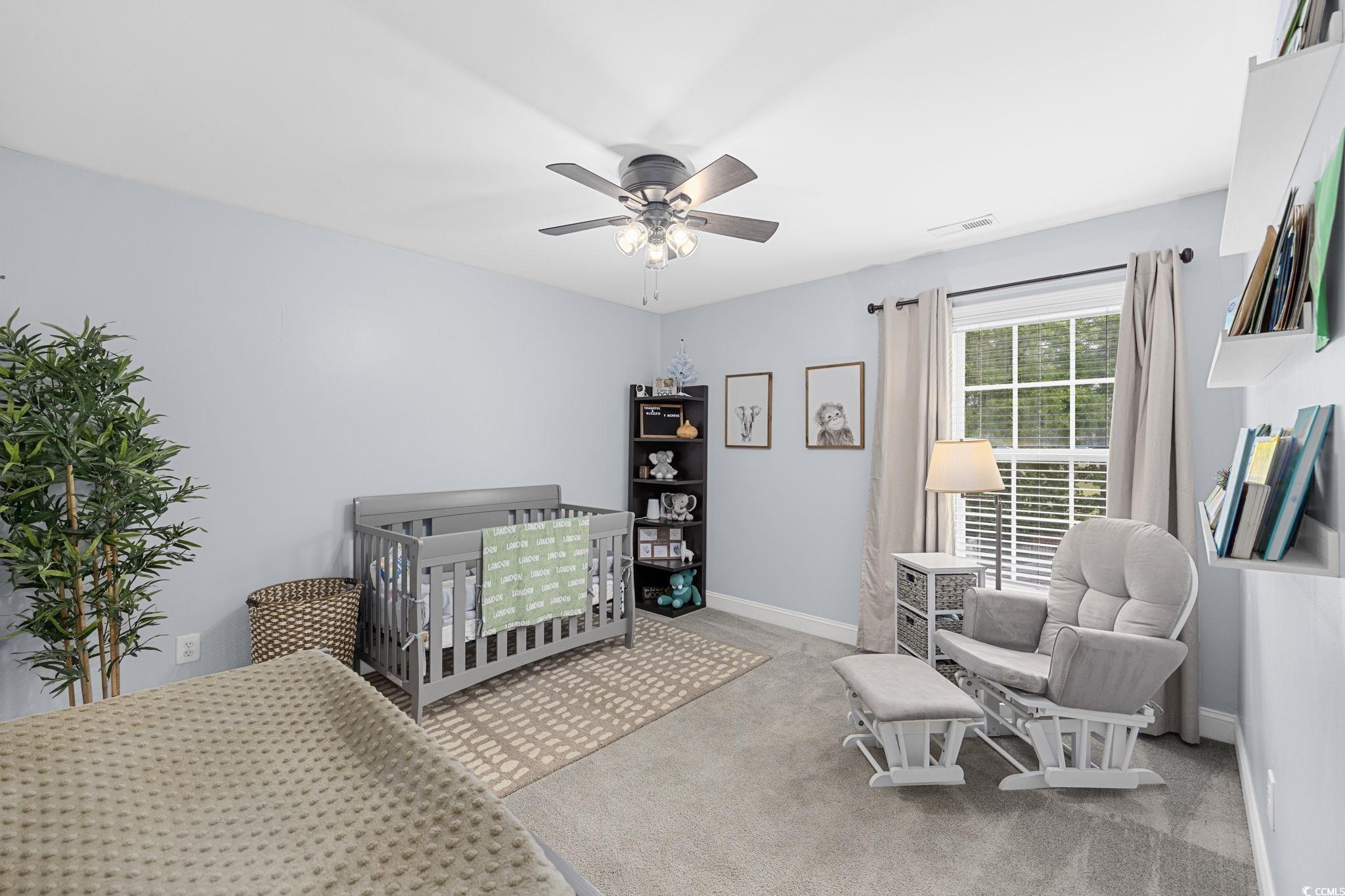 325 Muscari Drive Murrells Inlet, SC 29576 - Photo 22 of 40