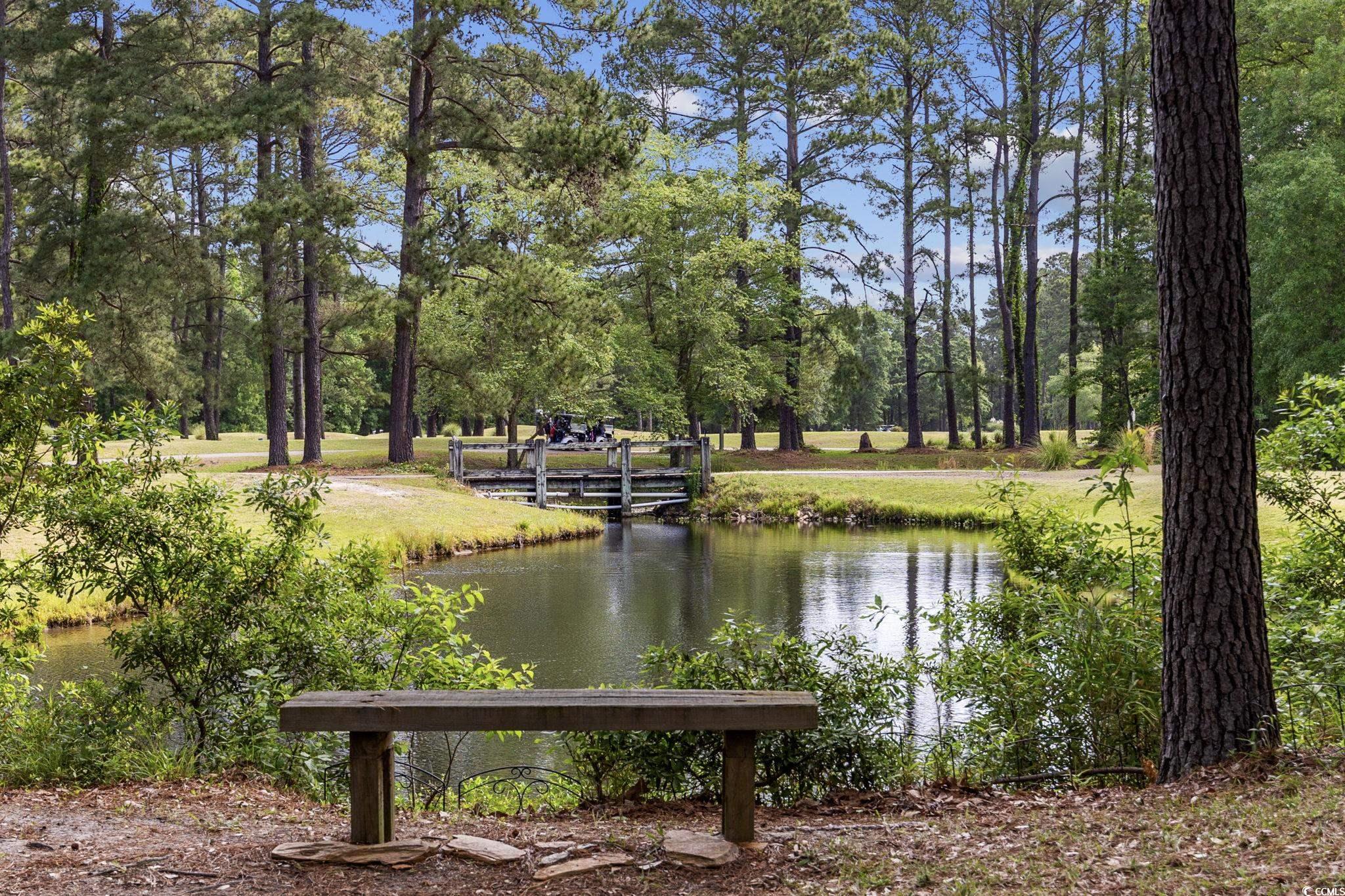 325 Muscari Drive Murrells Inlet, SC 29576 - Photo 35 of 40