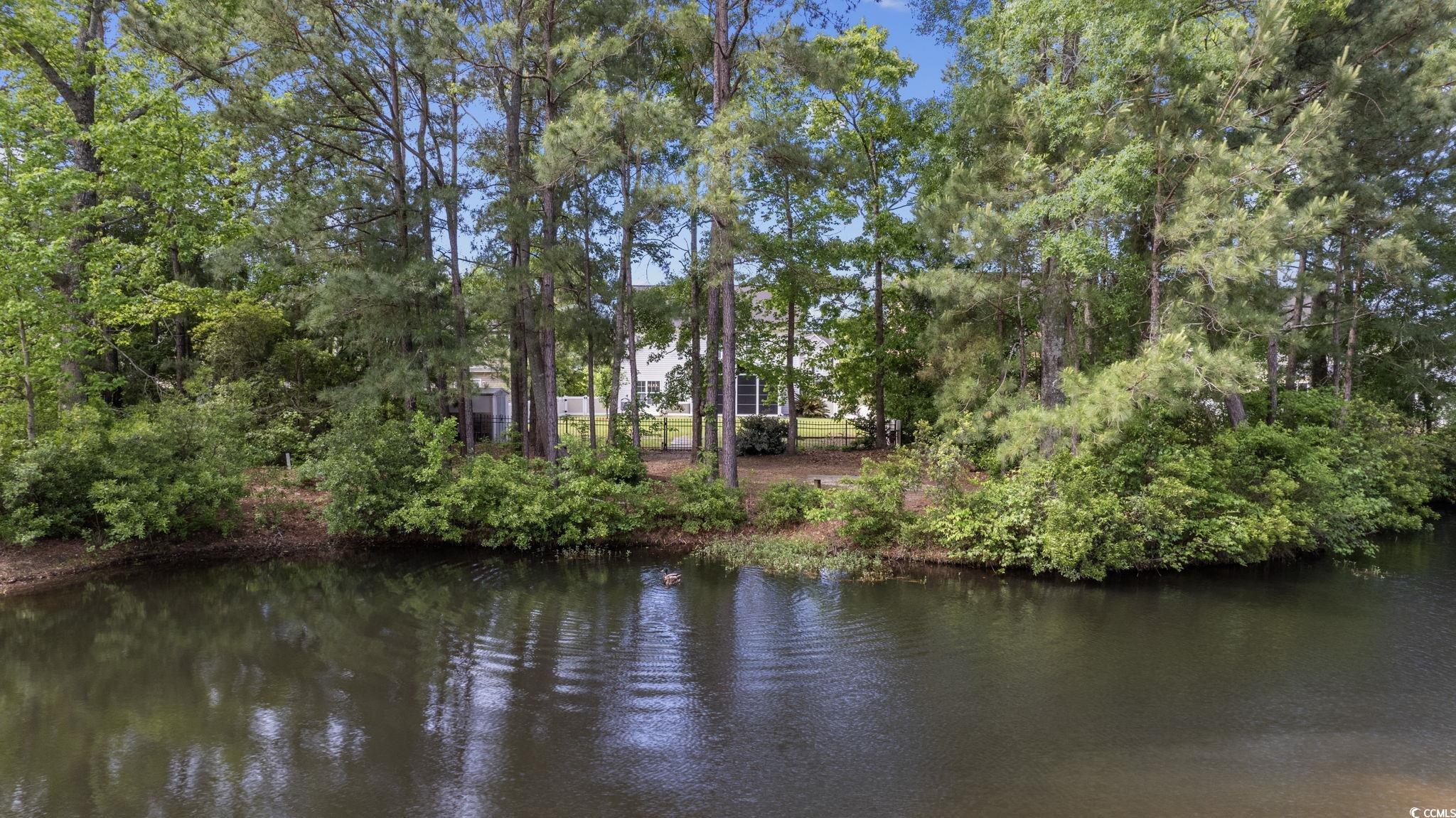 325 Muscari Drive Murrells Inlet, SC 29576 - Photo 37 of 40