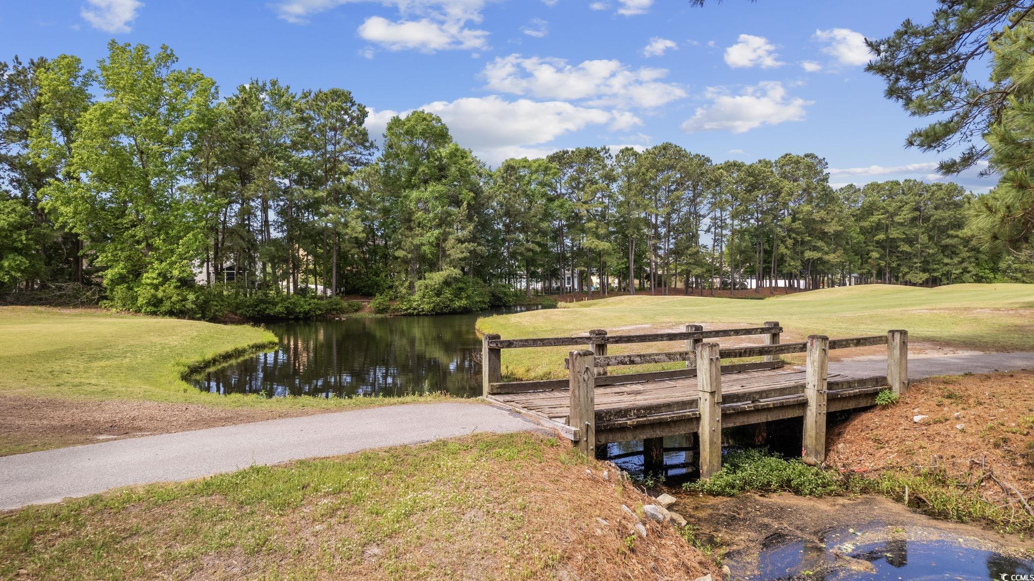 325 Muscari Drive Murrells Inlet, SC 29576 - Photo 38 of 40