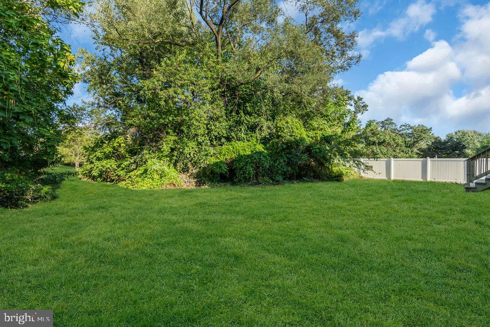 345 Spruce Street Bridgeton, NJ 08302 - Photo 43 of 43 a view of yard with grass and trees