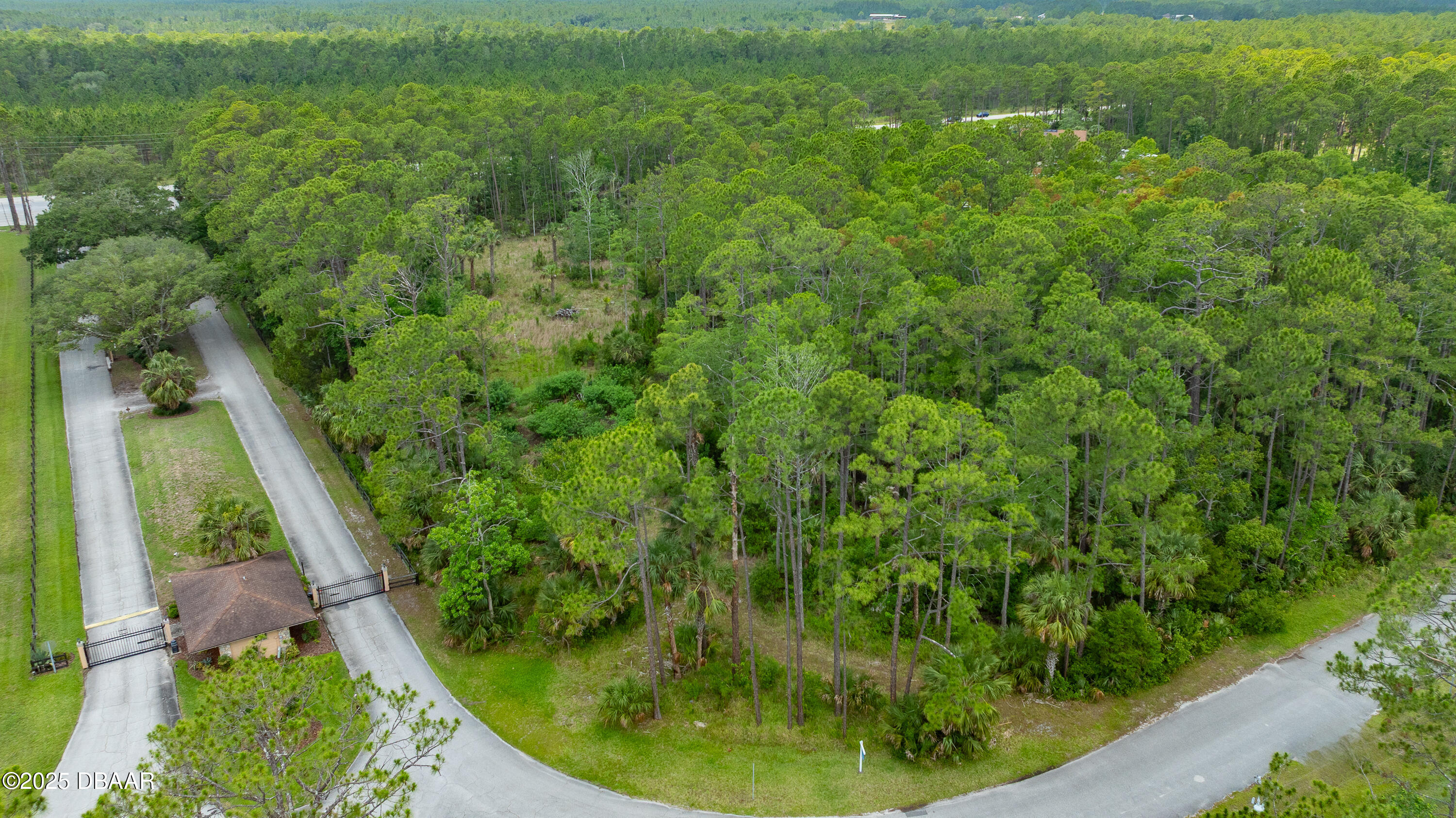 3 Remington Road Ormond Beach, FL 32174 - Photo 15 of 18 a backyard of a house with a garden and deck