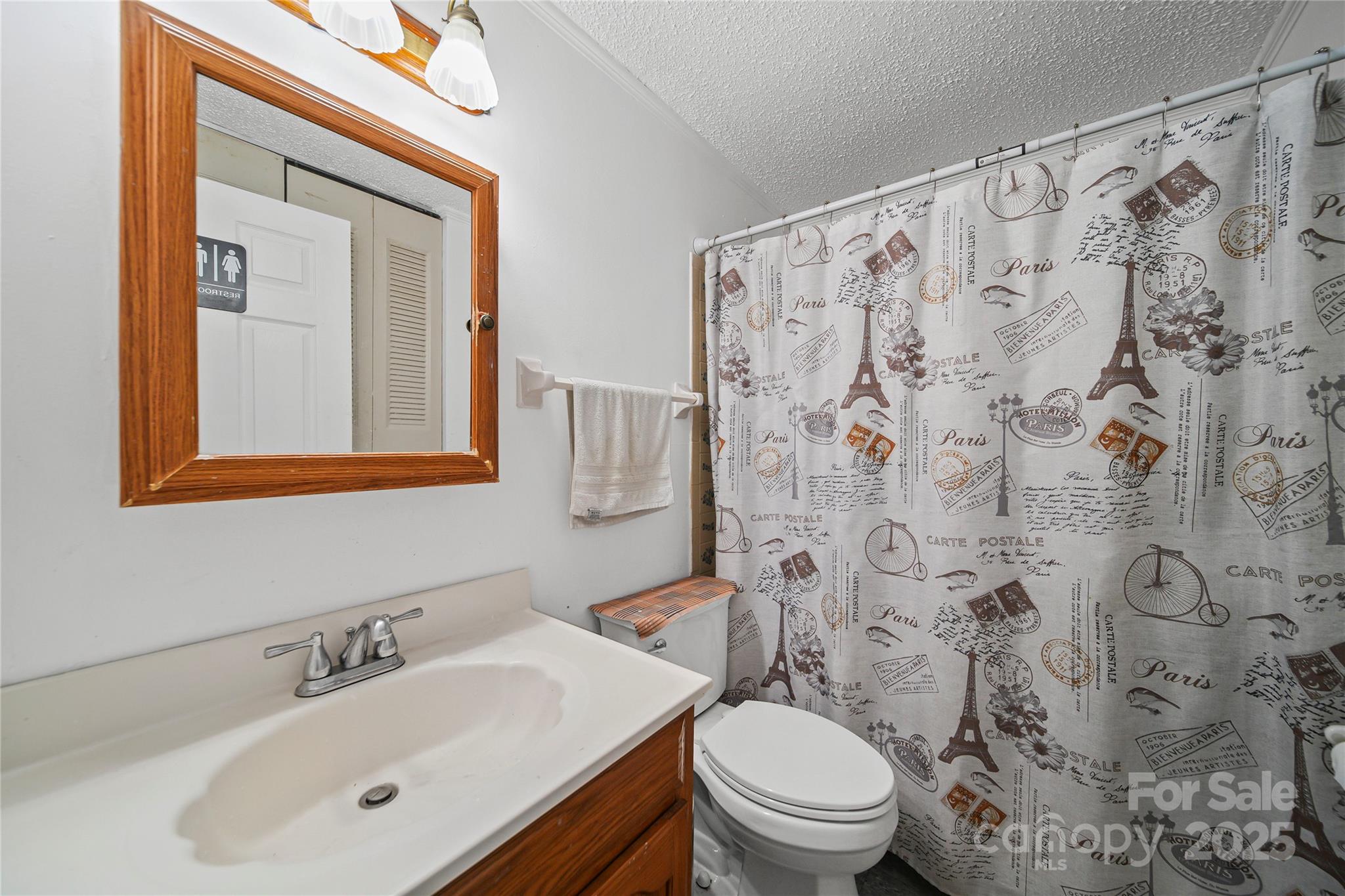 4823 Smokehollow Road Charlotte, NC 28227 - Photo 12 of 31 a bathroom with a toilet sink and mirror