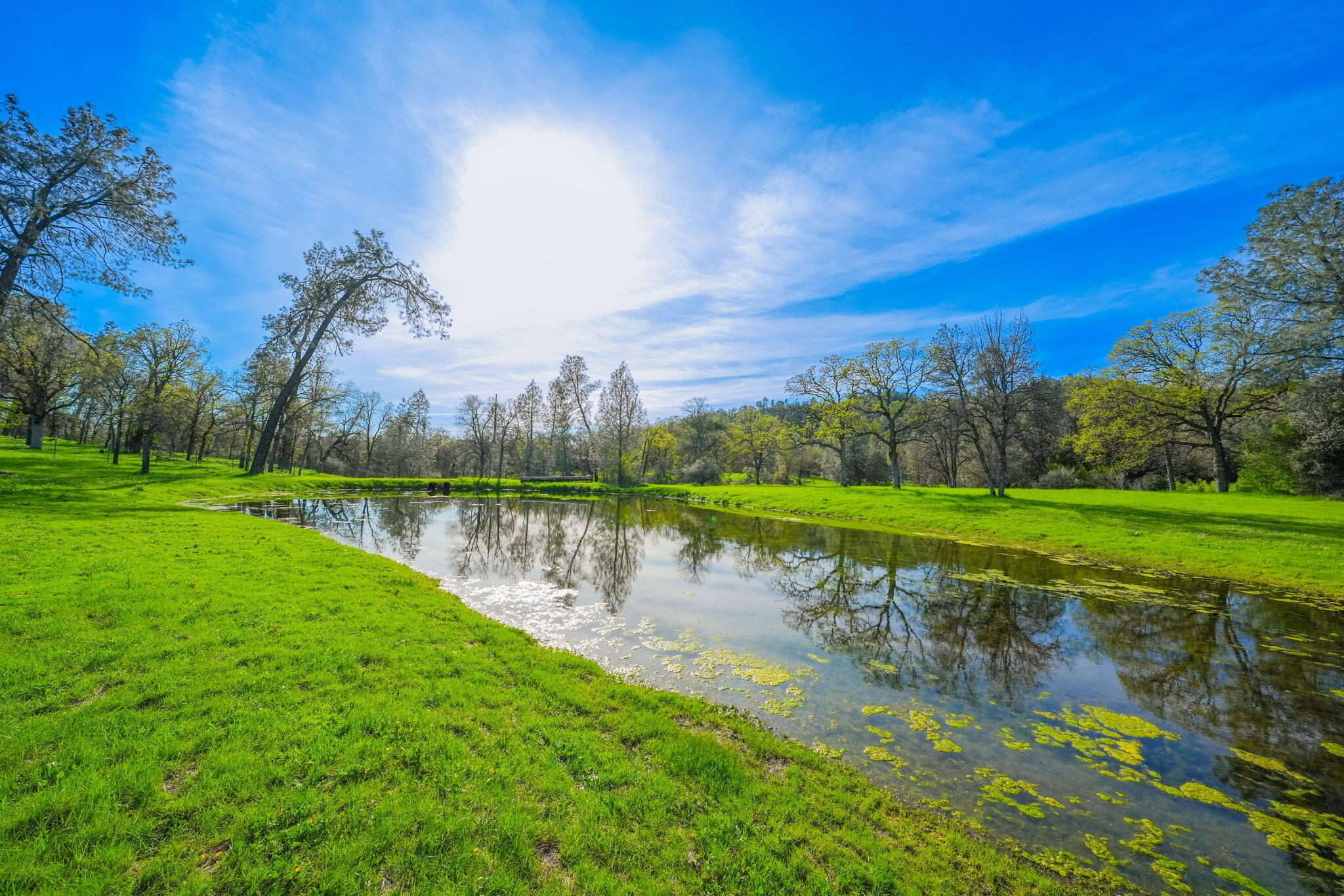13840 Ridge View Road Redding, CA 96003 - Photo 13 of 34 4-web-or-mls-IMG-4