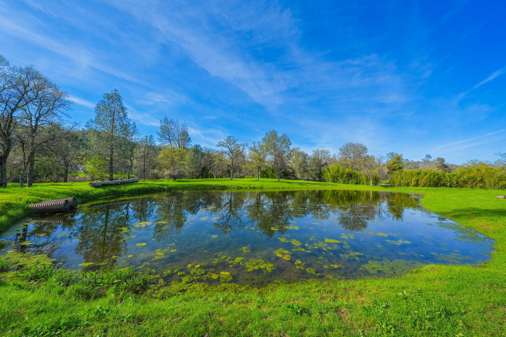 13840 Ridge View Road Redding, CA 96003 - Photo 14 of 34 5-web-or-mls-IMG-5