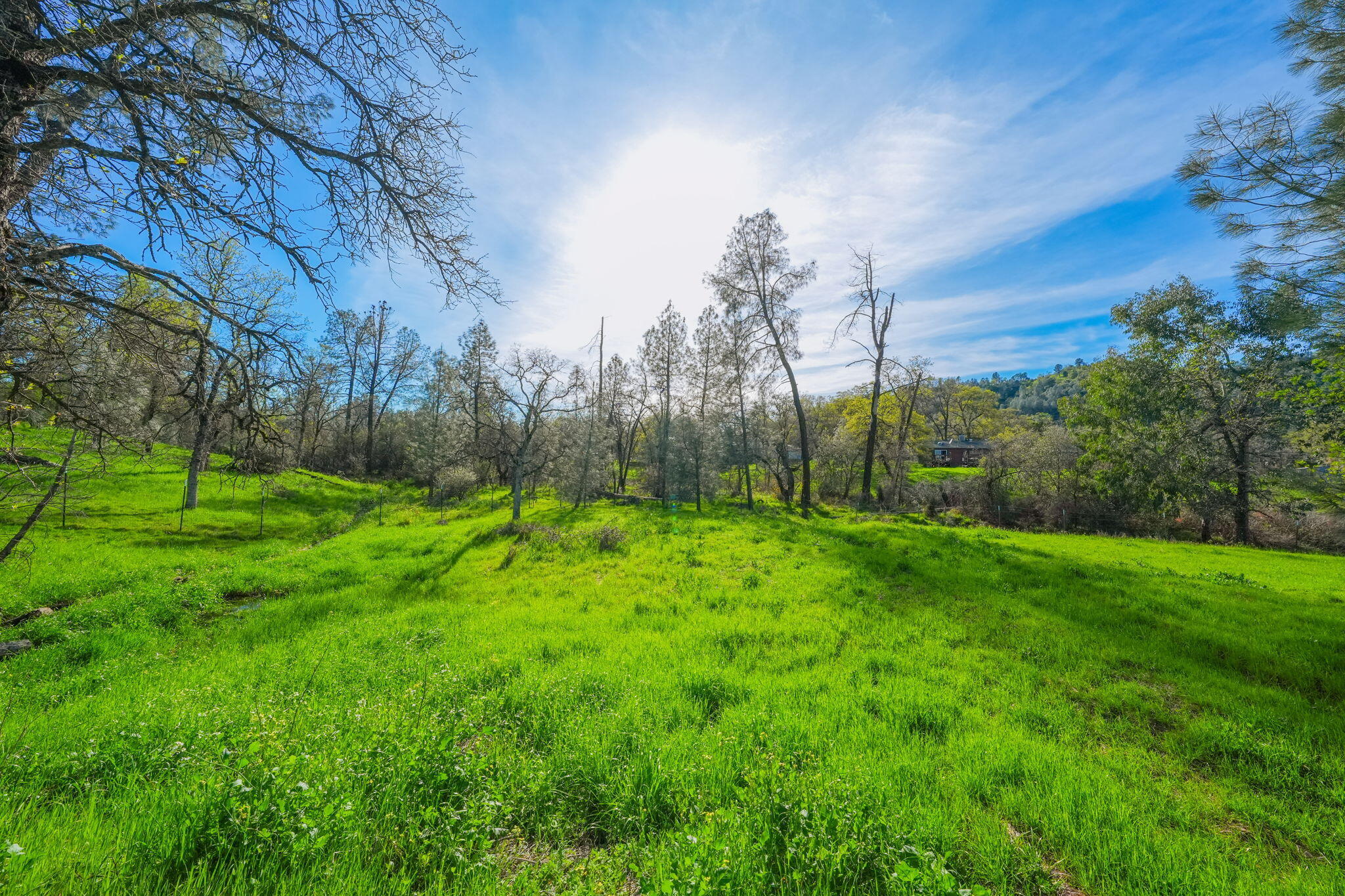 13840 Ridge View Road Redding, CA 96003 - Photo 24 of 34 16-web-or-mls-IMG-16