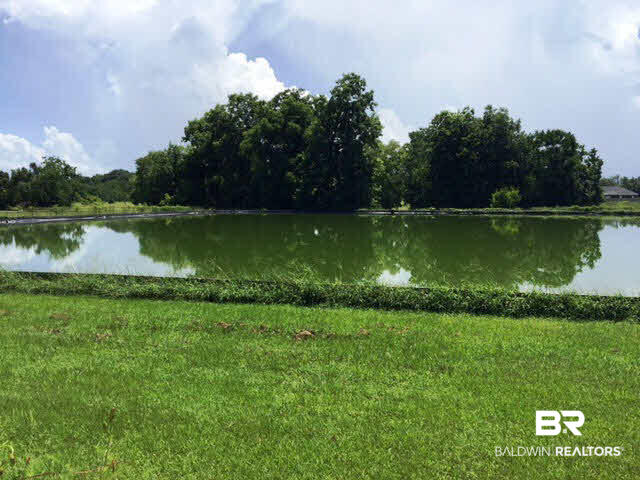 13901 Hugh Fort Road Grand Bay, AL 36541 - Photo 21 of 25