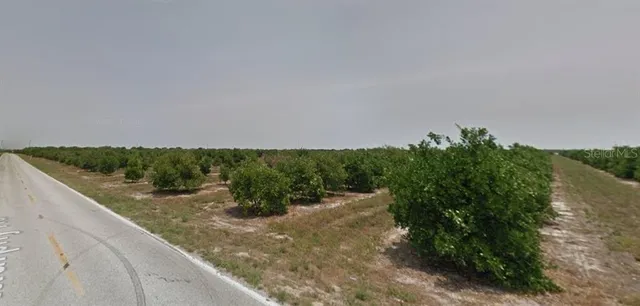 a view of a yard with plants