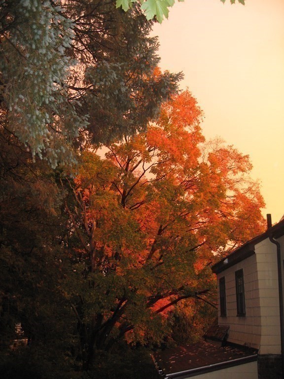 7 Marwood Road Worcester, MA 01602 - Photo 27 of 30