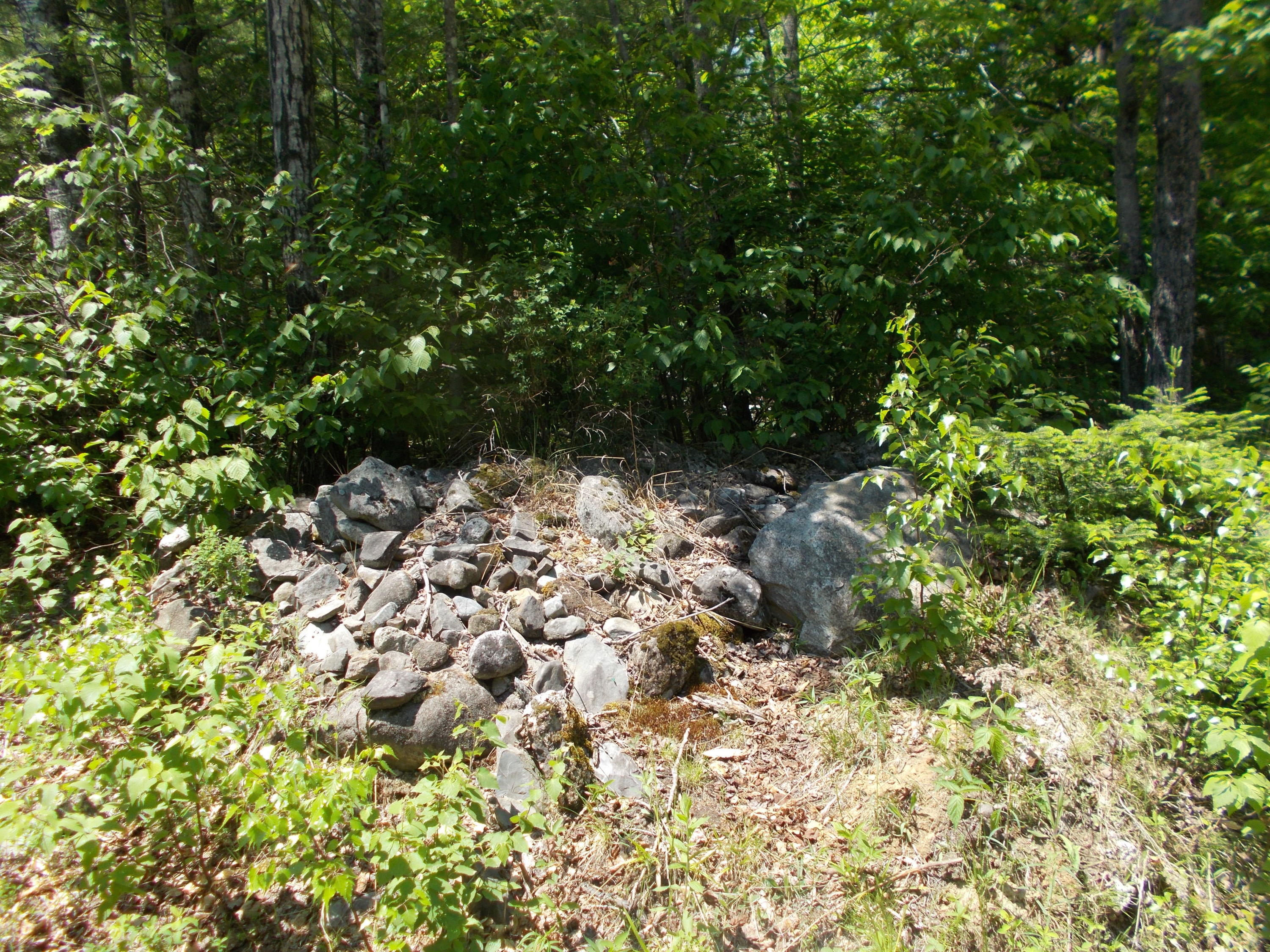 22 Pond Road Athens, ME 04912 - Photo 6 of 6 DSCN1252