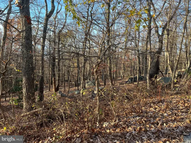 a view of backyard with green space