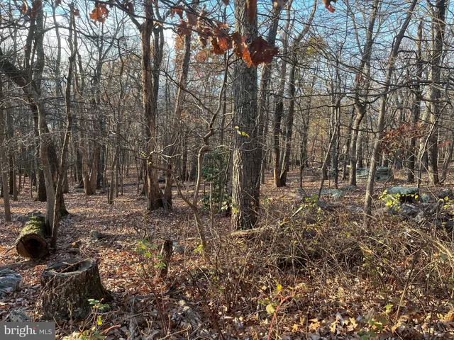 a view of house with trees in the background