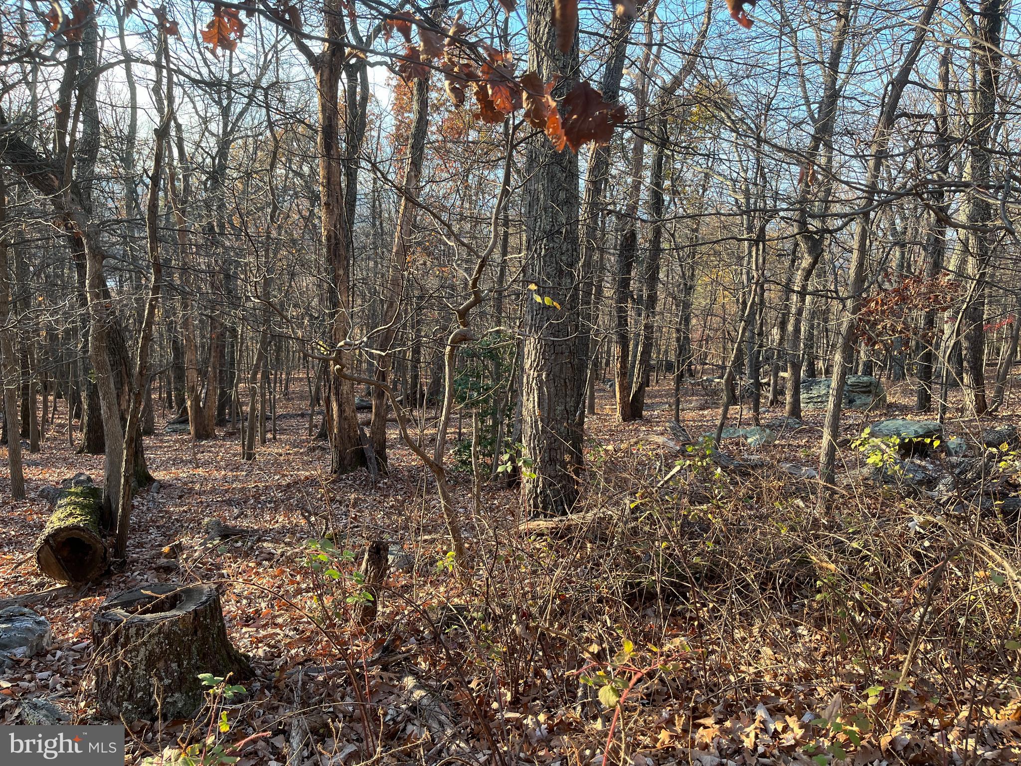 Stone Ridge Road Harpers Ferry, WV 25425 - Photo 8 of 11 Gallery Image 8
