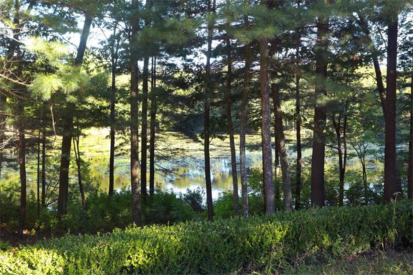 63 Sheffield Road Boxford, MA 01921 - Photo 28 of 30 a view of lake from window