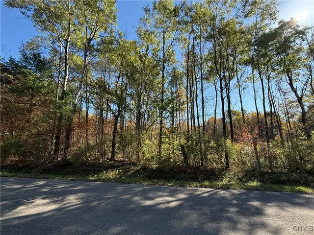 $189,900 | Shoemaker Road, Van Etten, NY 14889