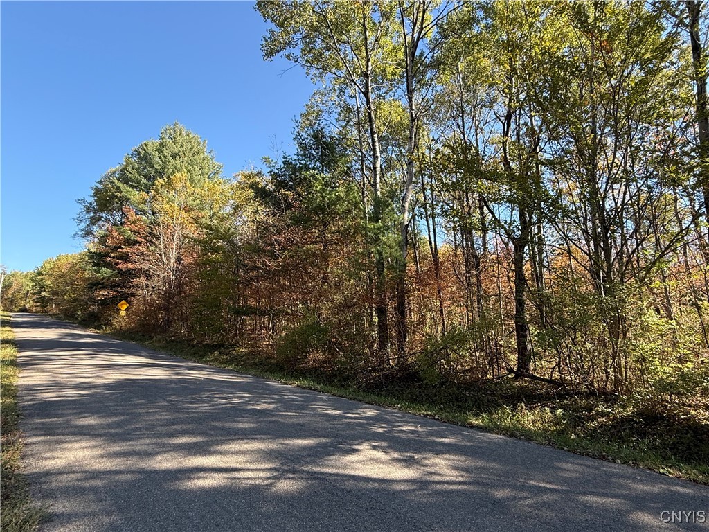 Shoemaker Road Van Etten, NY 14889 - Photo 12 of 13