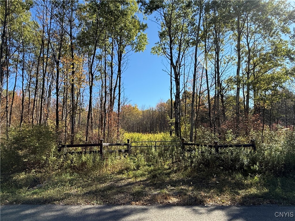 Shoemaker Road Van Etten, NY 14889 - Photo 2 of 13