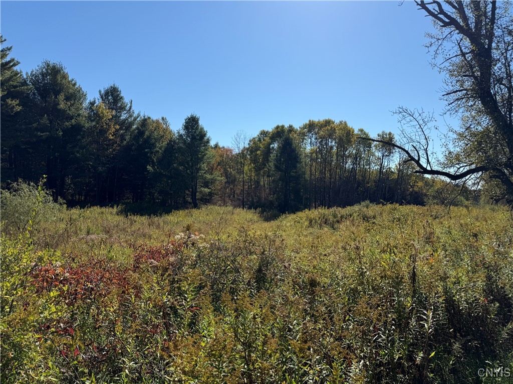 Shoemaker Road Van Etten, NY 14889 - Photo 3 of 13