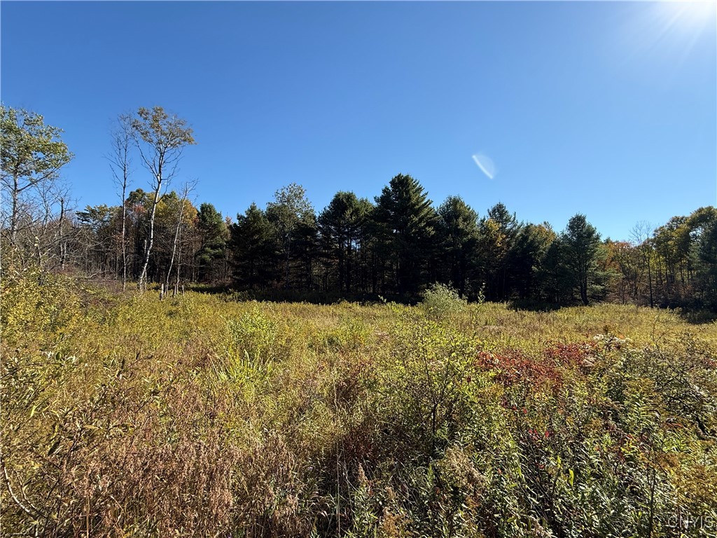 Shoemaker Road Van Etten, NY 14889 - Photo 4 of 13