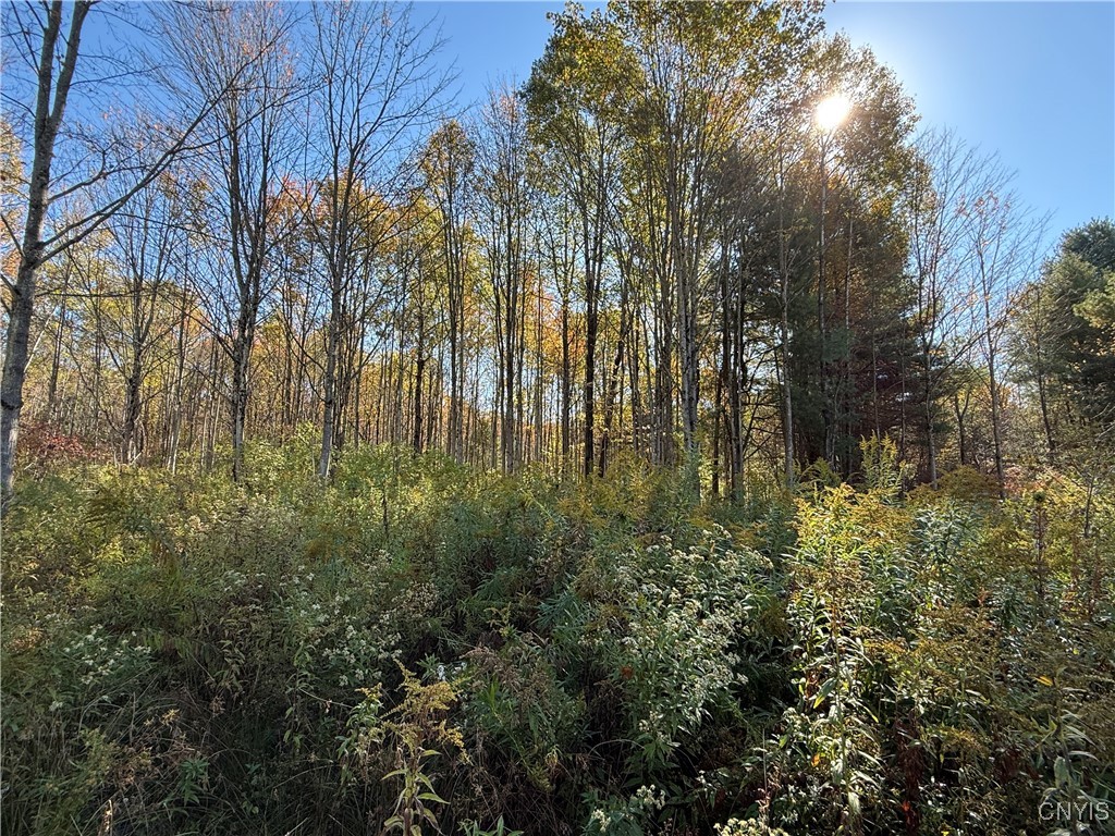 Shoemaker Road Van Etten, NY 14889 - Photo 6 of 13