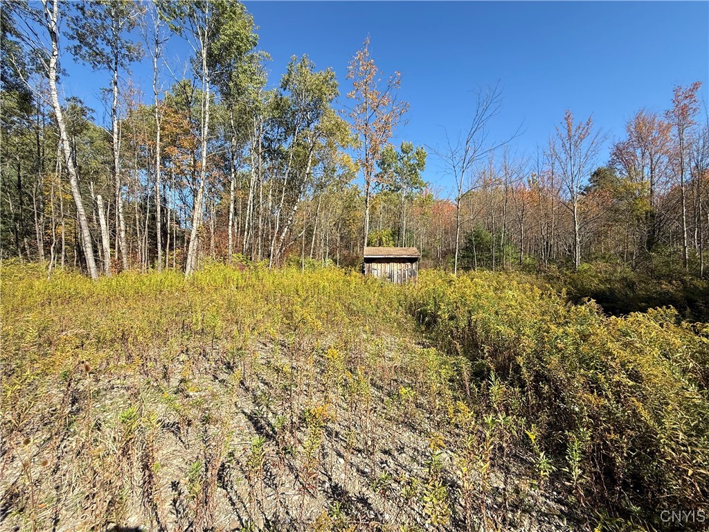 Shoemaker Road Van Etten, NY 14889 - Photo 8 of 13