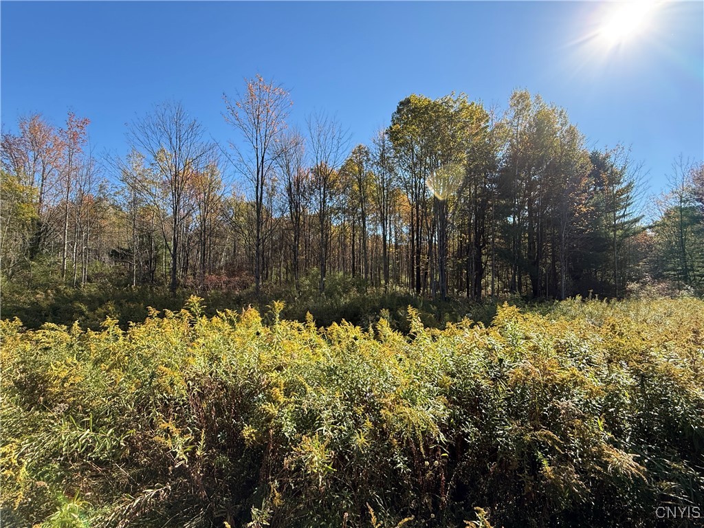 Shoemaker Road Van Etten, NY 14889 - Photo 9 of 13