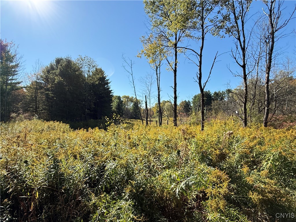 Shoemaker Road Van Etten, NY 14889 - Photo 10 of 13