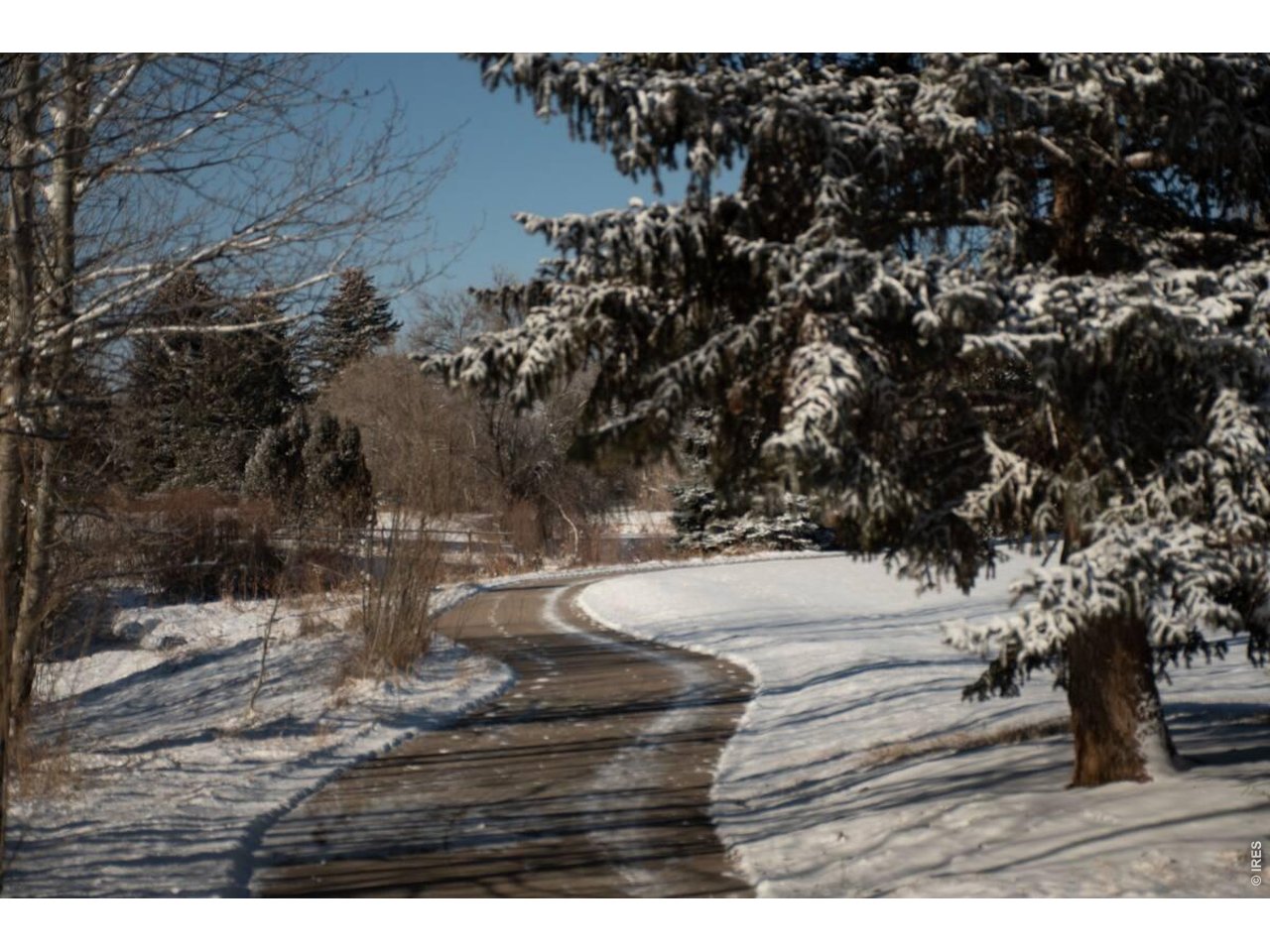 1684 Riverside Avenue, Unit 7 Fort Collins, CO 80525 - Photo 6 of 19