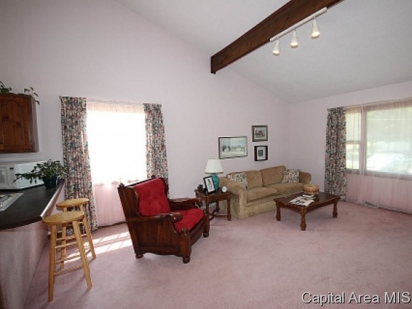 1337 East Black Avenue Springfield, IL 62702 - Photo 2 of 13