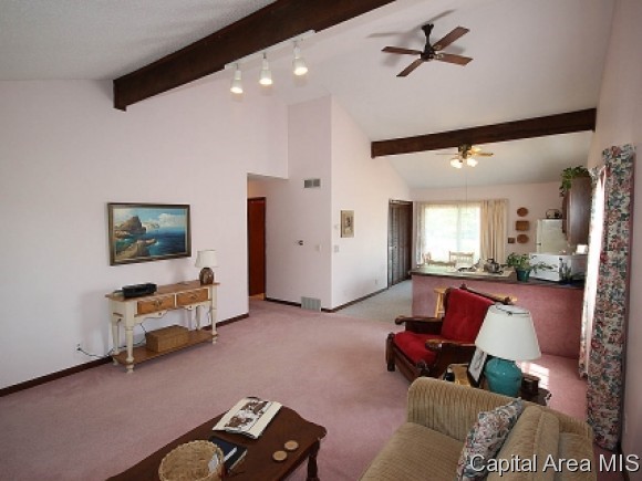 1337 East Black Avenue Springfield, IL 62702 - Photo 4 of 13