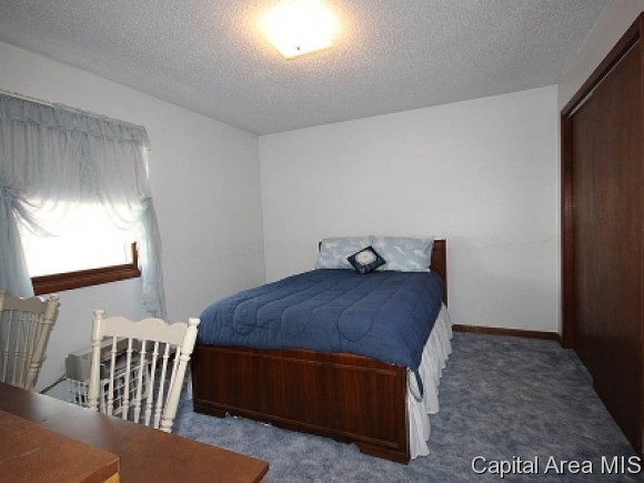 1337 East Black Avenue Springfield, IL 62702 - Photo 7 of 13