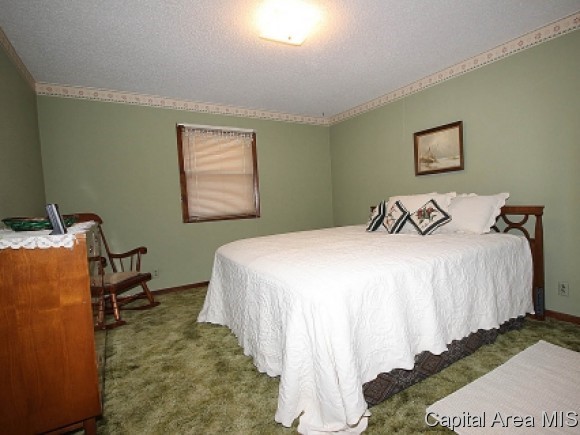 1337 East Black Avenue Springfield, IL 62702 - Photo 8 of 13